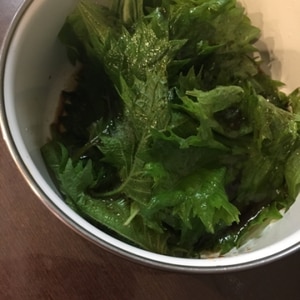簡単 激ウマ 大葉のごま油しょうゆ漬け レシピ 作り方 By Sumippy 楽天レシピ 簡単 激ウマ 大葉のごま油しょうゆ漬け レシピ 作り方 By Sumippy 楽天レシピ